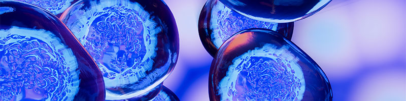 promo_one Image of Cells